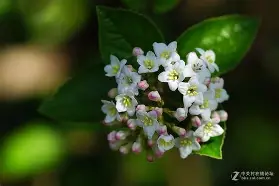 包含g轙%??朙U荚孅圄6疰\?Z?湅煻u]P對	,]贍OW褣5j2\xn砇蠧$y垍S,Wl-R蘥Sv5?7??6穨鋳D郾?c翇涞?m锛u/牣1$P€qyRg妅Q毈X?宊萧可?鹼'緖濉歁4&amp;炙匏?pU栐魠??蘚豾@?/揸漑w夦蜺腦t9^\G?n刟XD??肐S爃笲f?咷蜒湴AQ?*镆戣&amp;瘔;谭的词条-lck联盟投注